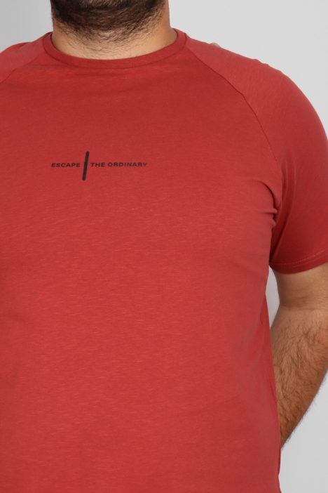 Ανδρικό Plus Size T-Shirts Graphic Print - Κεραμιδί