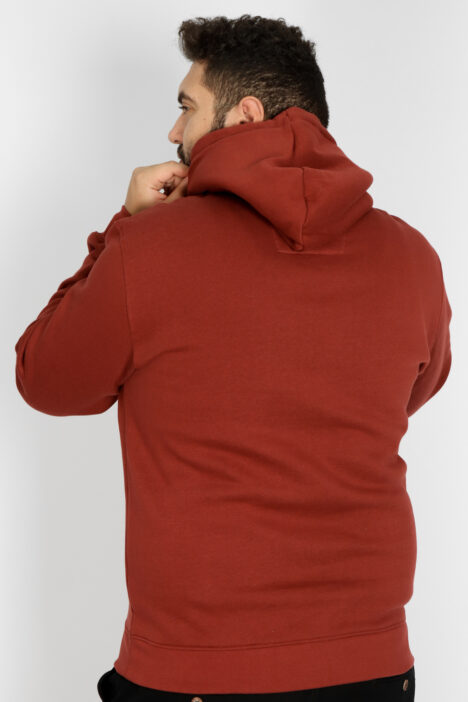 Μπλούζα φούτερ με κουκούλα και στάμπα 3D λογότυπο Hoodie - Κεραμιδί